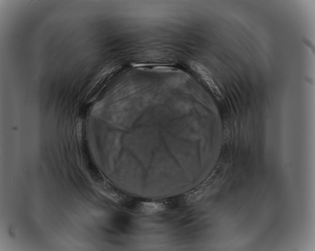 X0000091490167200709131837