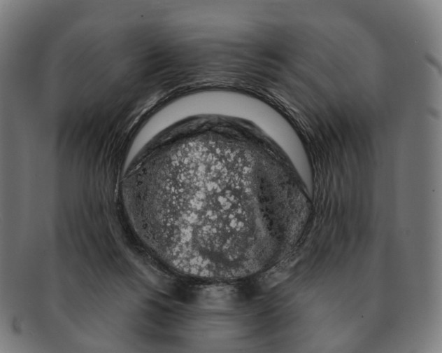 X0000091490168200709131837