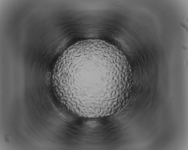 X0000091490171200709131837