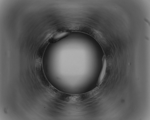 X0000091490172200709131837
