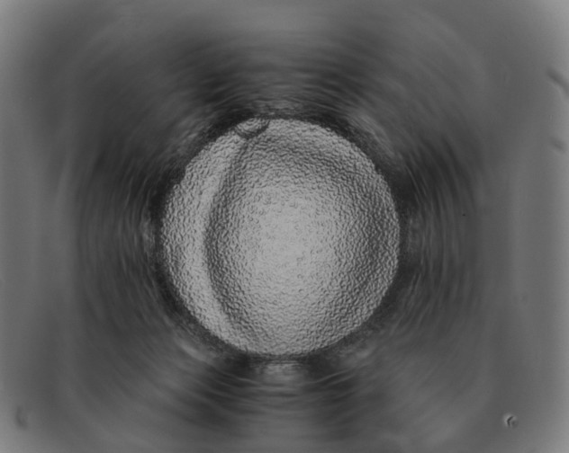 X0000091490173200709131837