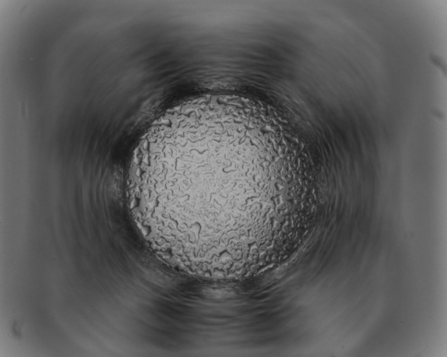 X0000091490175200709131837