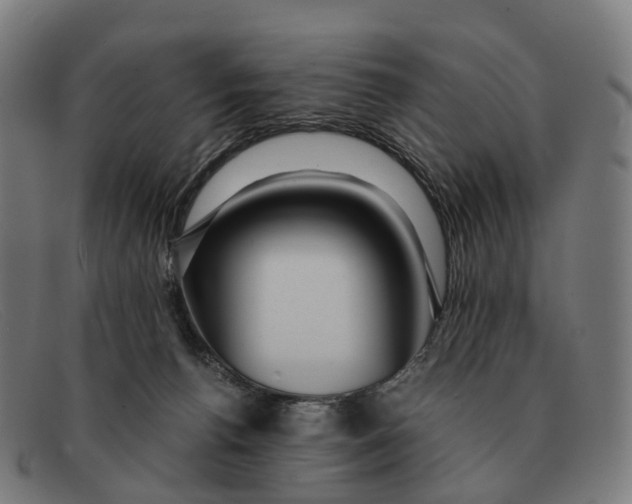 X0000091490176200709131837