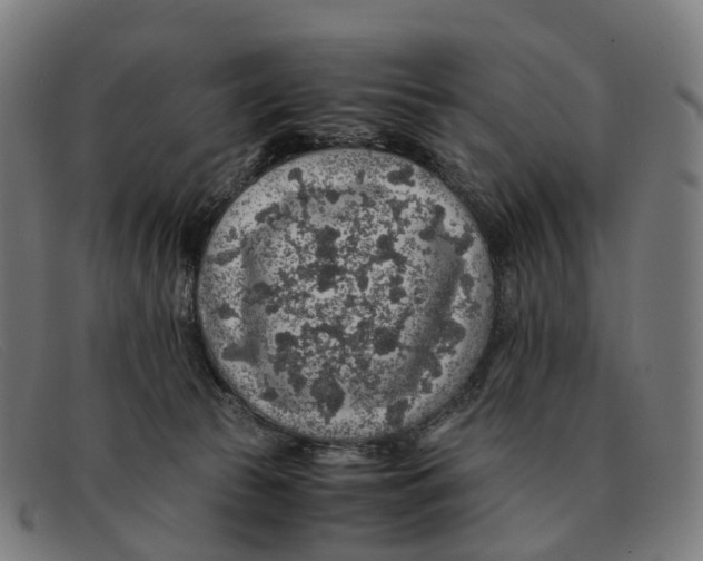 X0000091490177200709131837