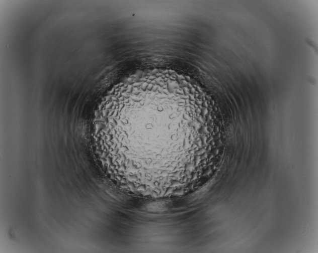 X0000091490178200709131837