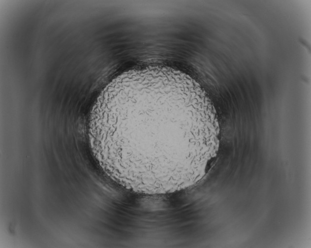 X0000091490179200709131837