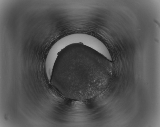 X0000091490180200709131837