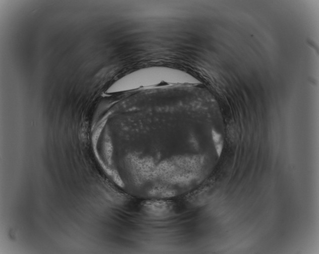 X0000091490181200709131837