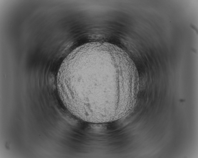 X0000091490187200709131837