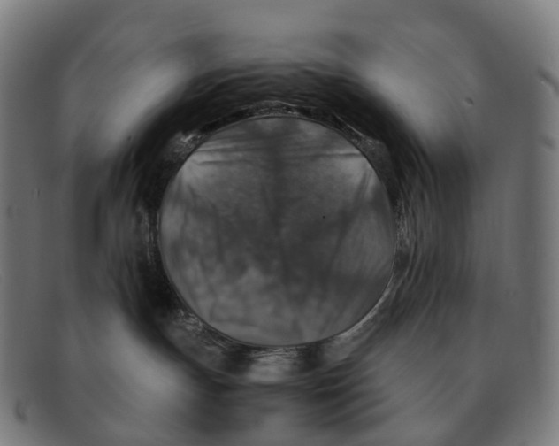 X0000091490191200709131837