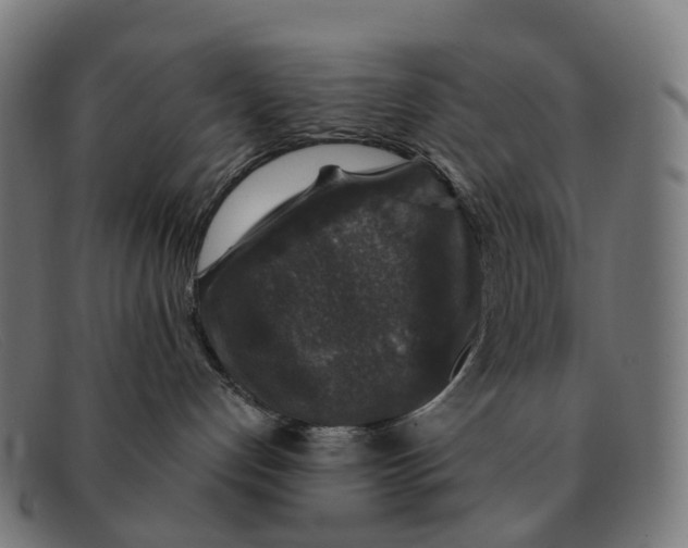 X0000091490192200709131837