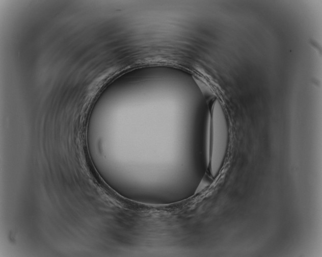 X0000091490193200709131837
