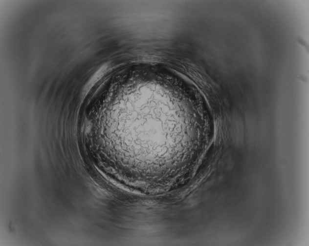 X0000091490195200709131837