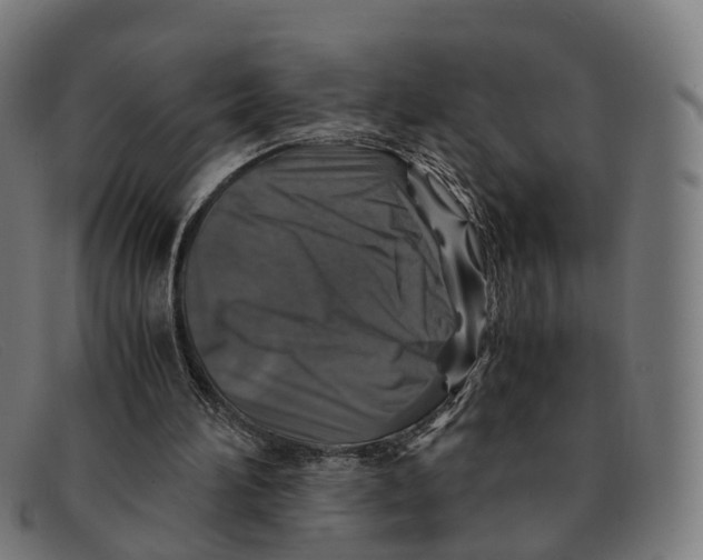 X0000091490196200709131837