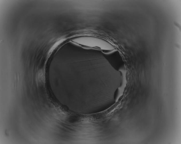 X0000091490200200709131837