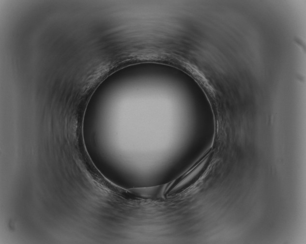 X0000091490201200709131837