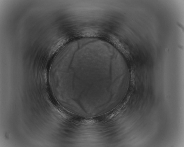 X0000091490202200709131837