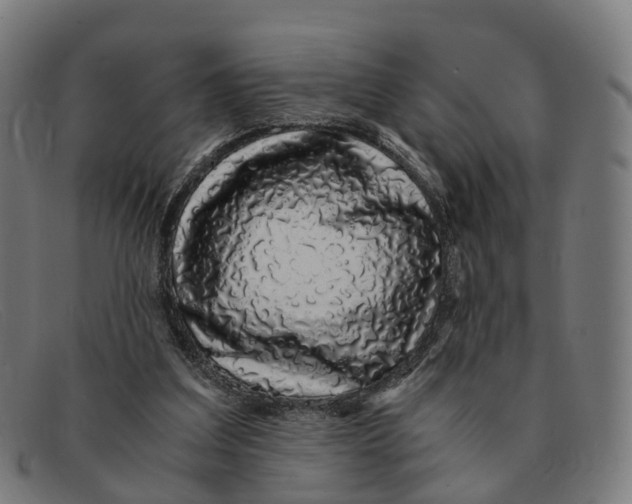 X0000091490203200709131837