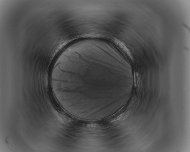 X0000091490204200709131837