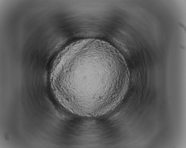 X0000091490206200709131837