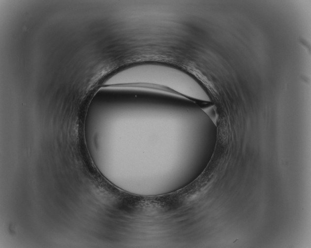 X0000091490207200709131837