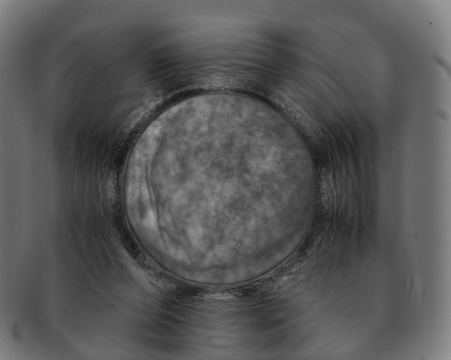 X0000091490208200709131837