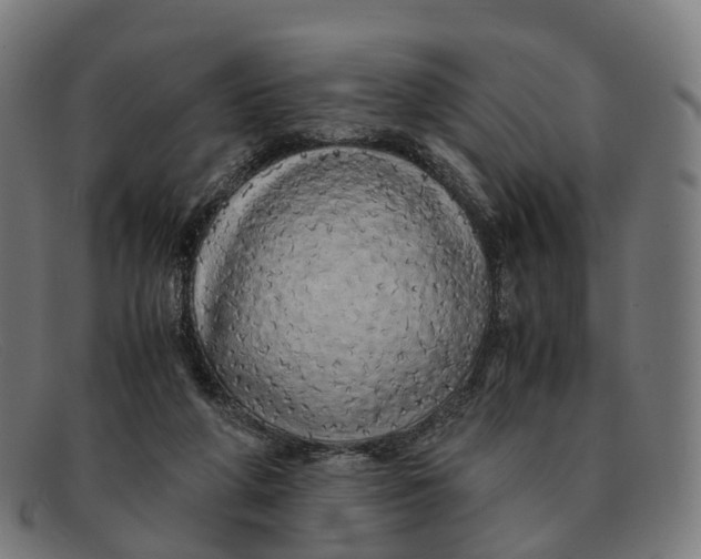 X0000091490210200709131837