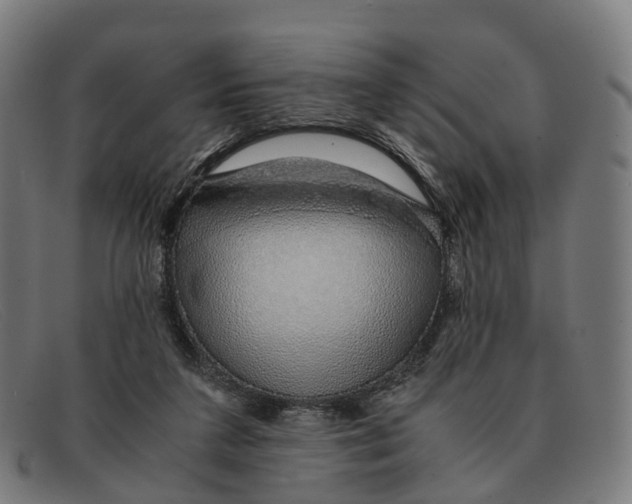X0000091490211200709131837