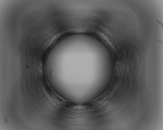 X0000091490212200709131837