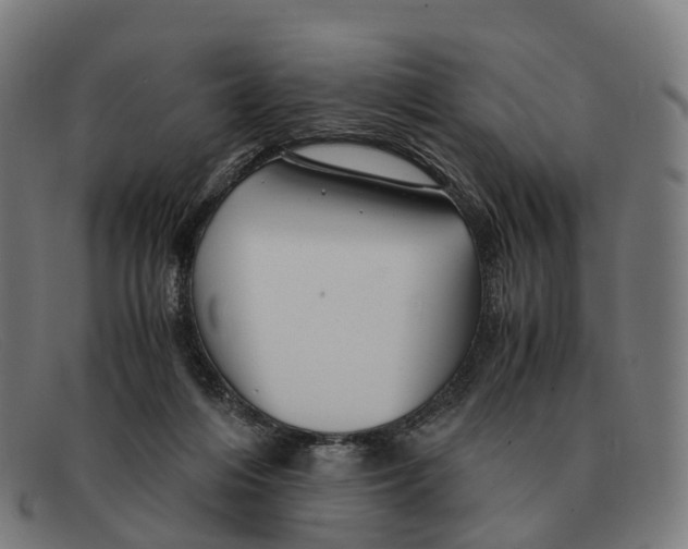 X0000091490216200709131837