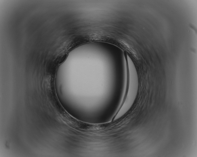 X0000091490217200709131837