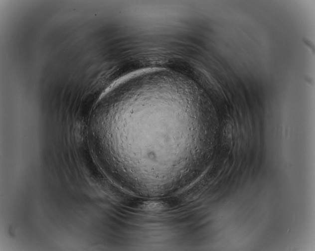 X0000091490218200709131837