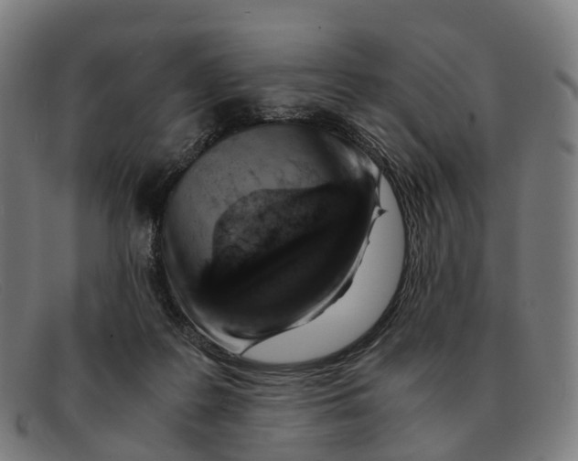 X0000091490219200709131837