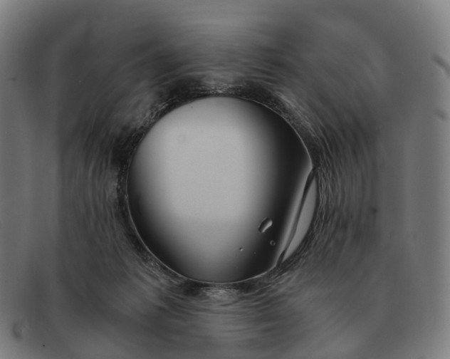 X0000091490221200709131837