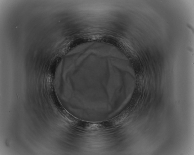 X0000091490222200709131837