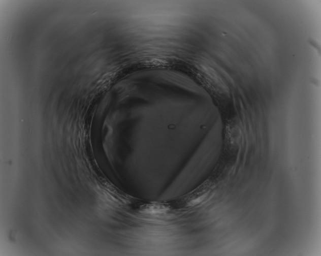X0000091490223200709131837