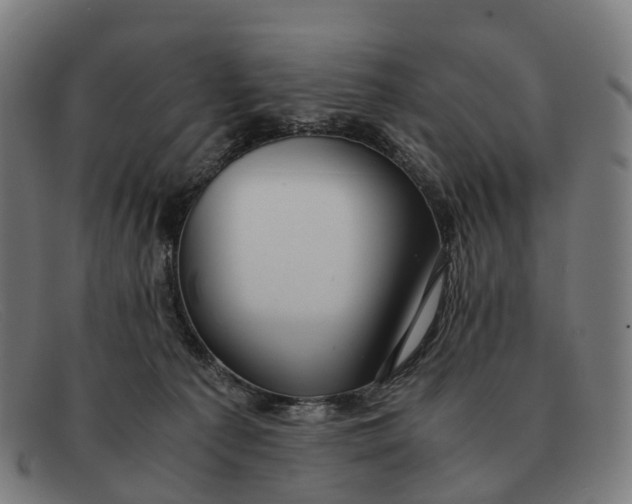 X0000091490225200709131837