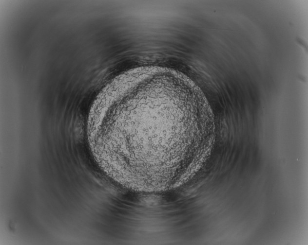 X0000091490226200709131837