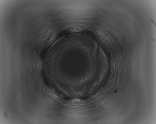 X0000091490227200709131837