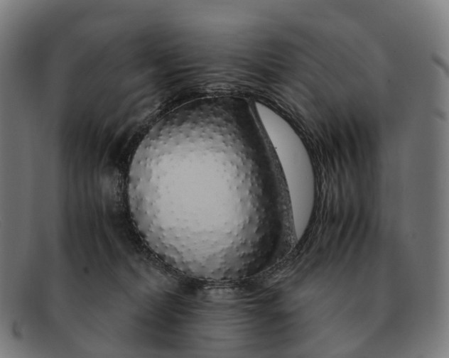 X0000091490228200709131836