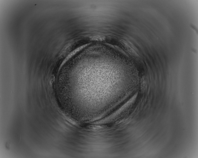 X0000091490229200709131836