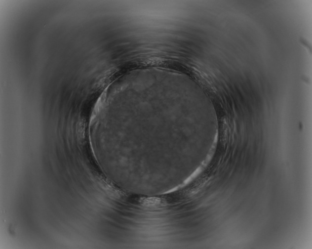 X0000091490230200709131836