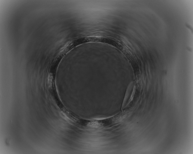 X0000091490231200709131836