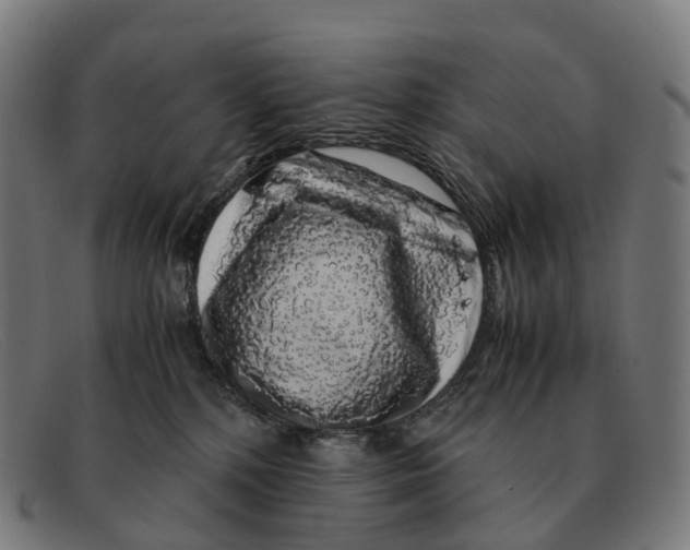 X0000091490232200709131836