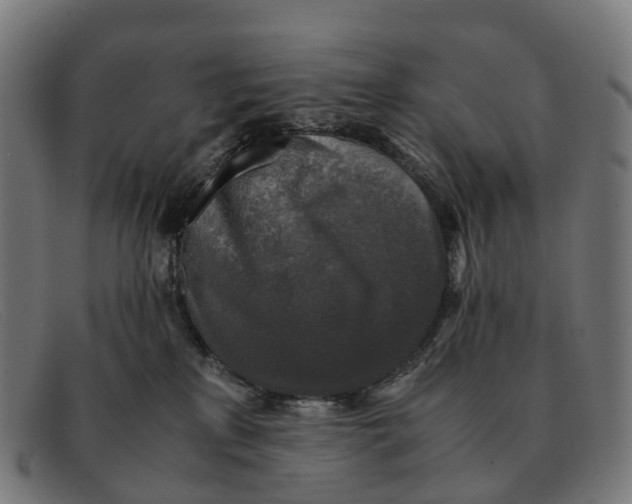 X0000091490233200709131836