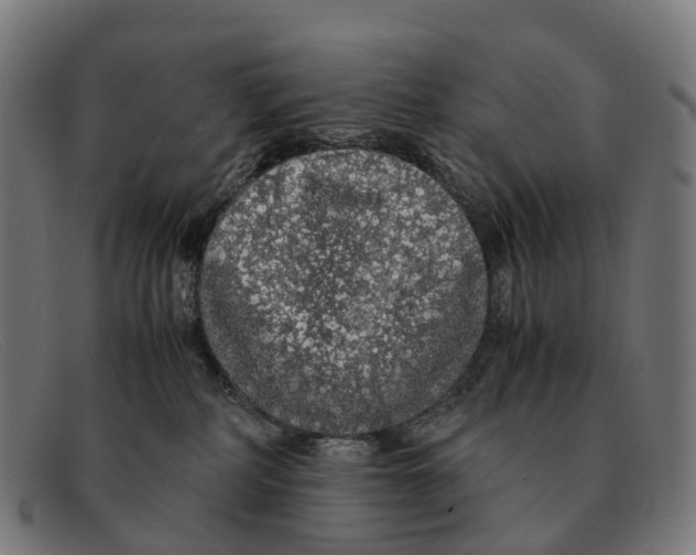 X0000091490234200709131836