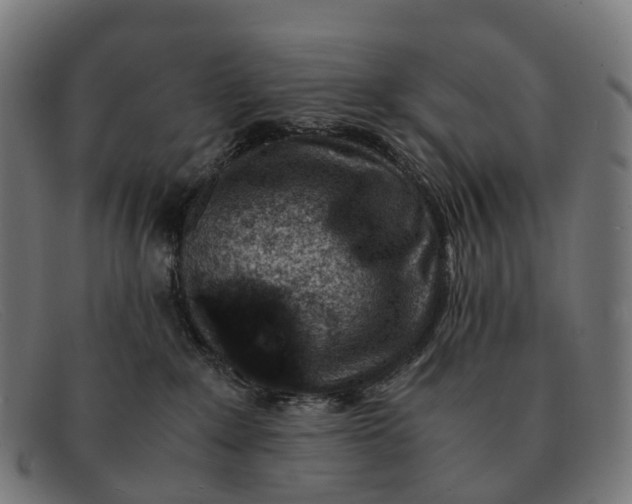 X0000091490235200709131836