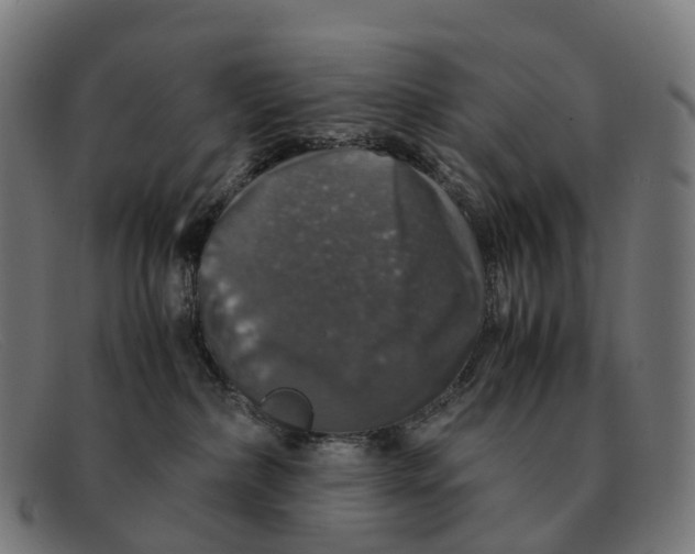 X0000091490236200709131836