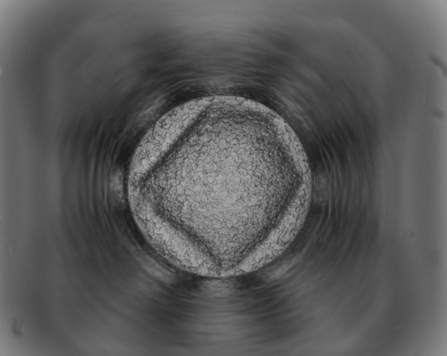 X0000091490238200709131836
