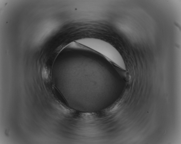 X0000091490239200709131836